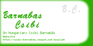 barnabas csibi business card