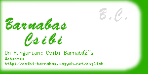 barnabas csibi business card